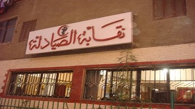 نقل انتخابات صيادلة شمال سيناء إلى الإسماعيلية بسبب الظروف الأمنية 