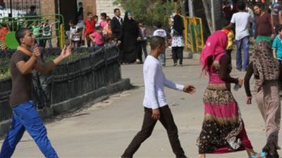 ضبط 10 متحرشين في حملة أمنية مكبرة بالبحيرة