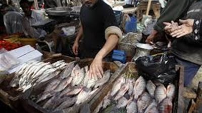 تعرف على أسعار الأسماك بسوق العبور اليوم
