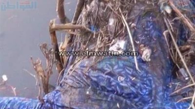 بالصورة.. العثور على جثة لسيدة غارقة داخل احدى الترع في طنطا