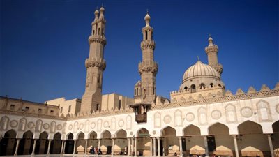 البشاري: القوات المسلحة والأزهر يدافعان عن الإسلام 