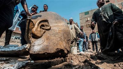 عالم مصريات: 