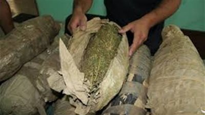 القبض على عاطل وبحوزته 10 لفافة بانجو بالشرقية