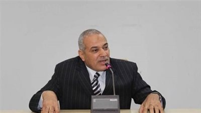 الغرفة التجارية بالقاهرة: يوجد زيادة في الطلب على تربية الدواجن