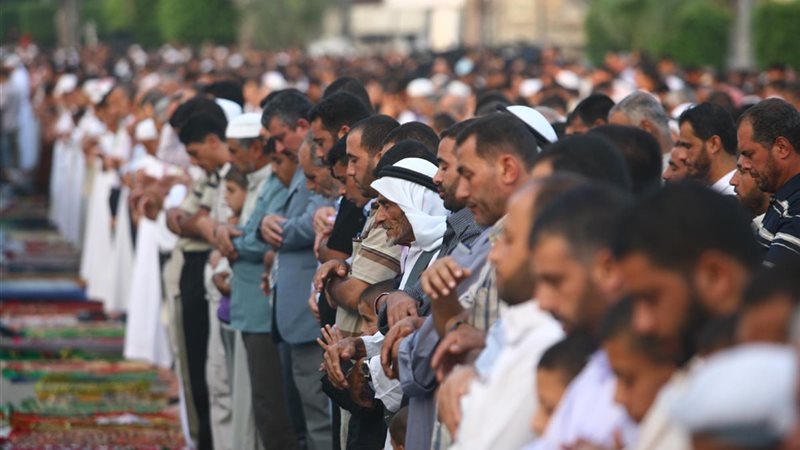 المواطن