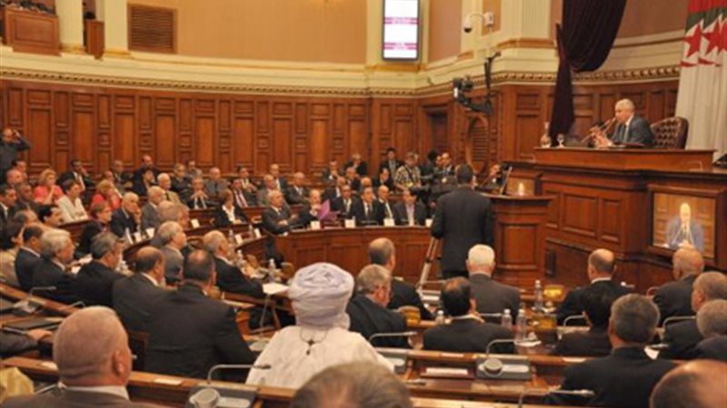 المواطن
