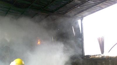الحماية المدنية تسيطر على حريق بمزرعة دواجن في الشرقية