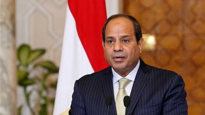 السيسي يلتقي عدد من العاملين في 
