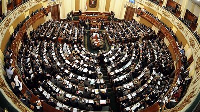 تفاصيل أول دعوى تطعن على دستورية 