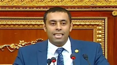 برلماني: قانون الاستثمار الجديد يقدم حوافز للمستثمرين 