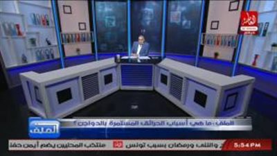 بالفيديو.. منتجو الدواجن: 70% من إنتاجنا استثمار أجنبي