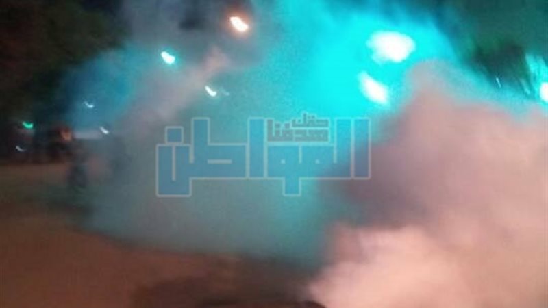 المواطن