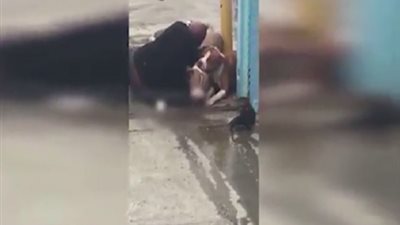 بالفيديو..  إنقاذ شخص من 3 كلاب شرسة