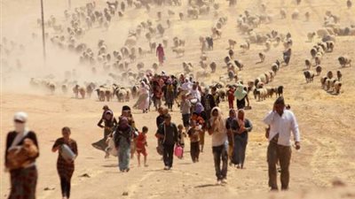 مفوضية اللاجئين تتوقع: أعداد اللاجئين الفارين من بوروندي نصف مليون