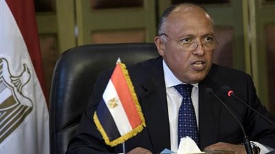 وزير الخارجية: مواقفنا ستكون حاسمة في التعامل مع أي تهديد للأمننا القومي