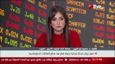 بالفيديو.. محافظ المركزي الأسبق: 
