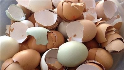تعرف على فوائد قِشْر البيض المذهلة للبشرة