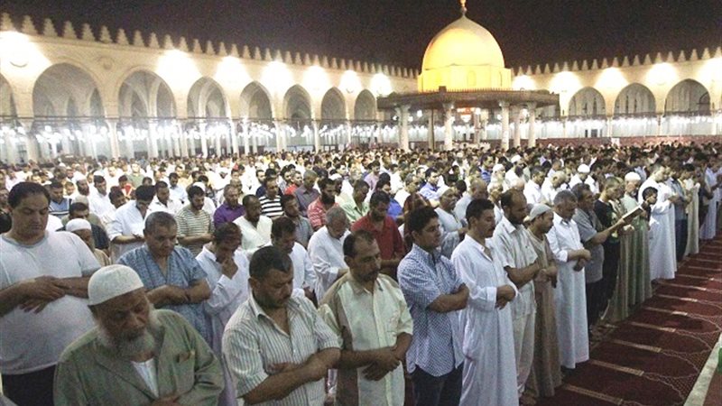المواطن