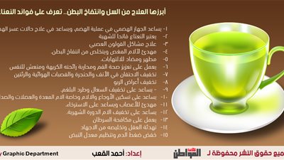 إنفوجرافيك| أبرزها العلاج من السل وانتفاخ البطن.. تعرف على فوائد النعناع