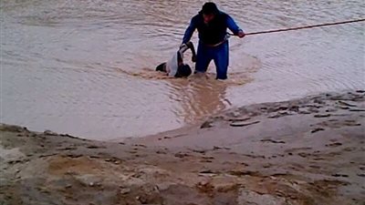 انتشال جثتى طفلين غرقا فى مياه النيل بمنشأة القناطر 