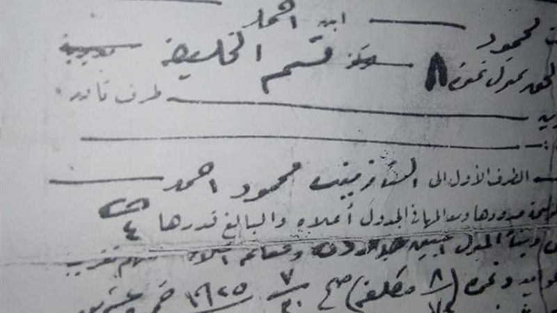 المواطن