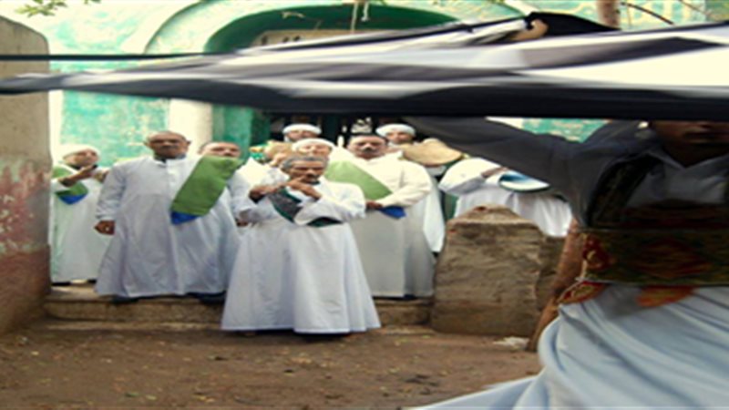المواطن