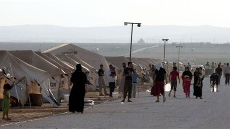 المواطن