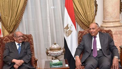 ننشر تفاصيل اجتماع سامح شكري ونظيره الجزائري بالقاهرة 