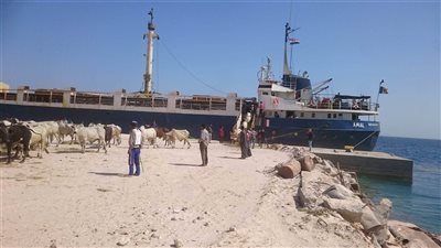محافظ البحر الأحمر يبحث تطوير ميناء أبو طرطور