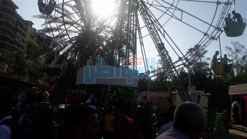 المواطن