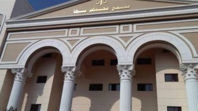إحالة ملف قضية قاتلة زوجة نجلها في الخصوص للجنايات
