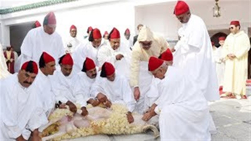 المواطن