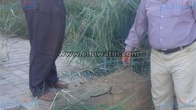 بالصور.. 