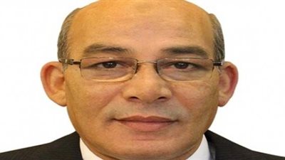 الزراعة تكافح النمل الأبيض بخطة عاجلة للحد من انتشاره بالصعيد