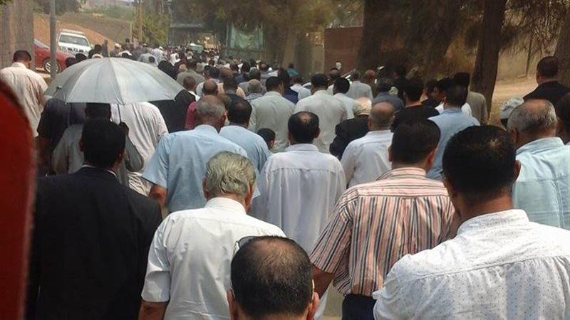 المواطن