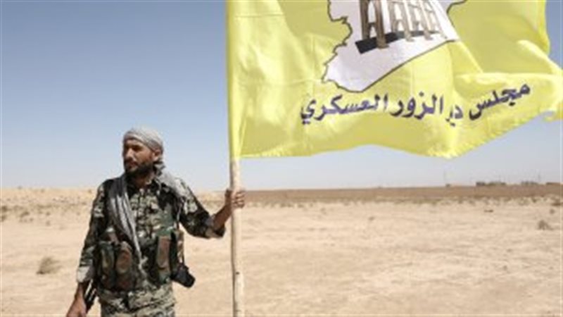المواطن