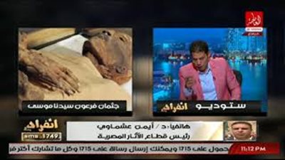 بالفيديو..