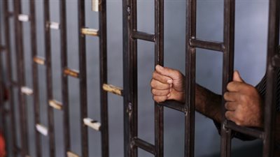 القبض على عاطلين لاتهامهما بسرقة ١٢ سيارة في أكتوبر