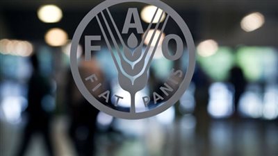 الفاو: 1.3% انخفاضًا في أسعار الغذاء