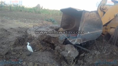 إزالة 15 حالة تعدِ على الأراضي الزراعية بأبو حمص في البحيرة