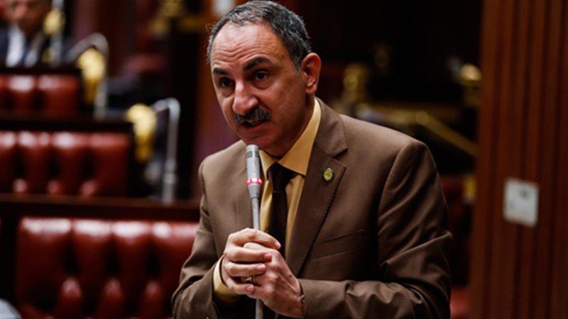 مجدي ملك