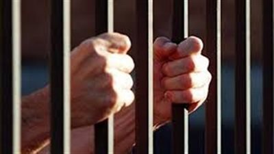  حبس صاحب شركة لتقليده كارنيهات الجهات الرسمية في البساتين