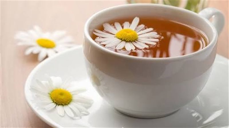 البابونج