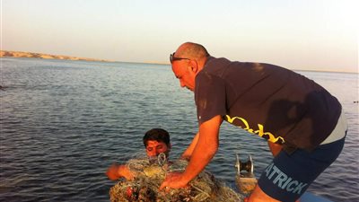 محميات البحر الأحمر: ضبط مركب صيد عليها كميات من الأصداف البحرية النادرة