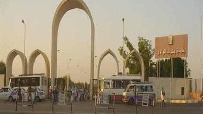 الأحد.. مؤتمر شباب الباحثين للعلوم الطبية البيطرية والزراعية بجنوب الوادي