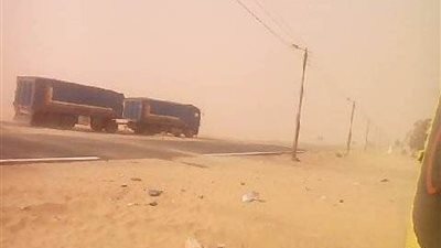 الوادي الجديد تتعرض لعاصفة ترابية وانخفاض في درجات الحرارة