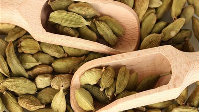 فوائد الحبهان لصحة الانسان