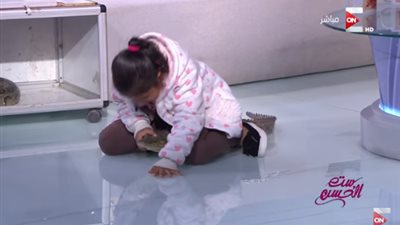 شاهد.. ماذا فعلت طفلة صغيرة مع كوبرا وتمساح داخل الاستديو