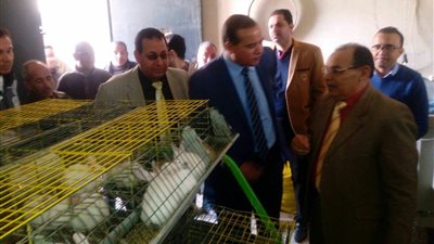 بالصور.. رئيس جامعة سوهاج يتفقد مزرعة الكوثر