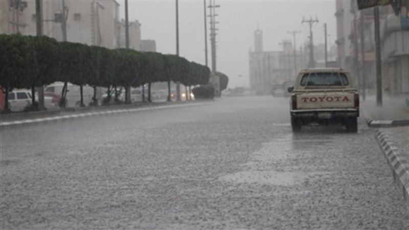 المواطن